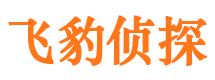 玛多市调查公司